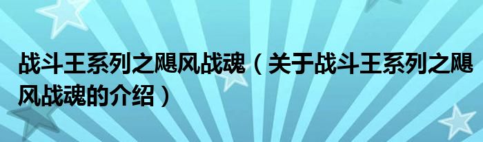 戰(zhàn)斗王系列之颶風(fēng)戰(zhàn)魂（關(guān)于戰(zhàn)斗王系列之颶風(fēng)戰(zhàn)魂的介紹）