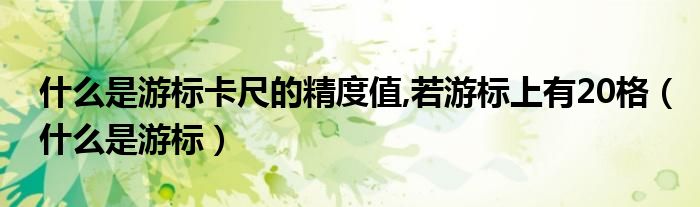 什么是游標(biāo)卡尺的精度值,若游標(biāo)上有20格（什么是游標(biāo)）