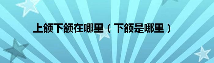 上頜下頜在哪里（下頜是哪里）