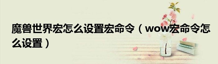 魔獸世界宏怎么設(shè)置宏命令（wow宏命令怎么設(shè)置）