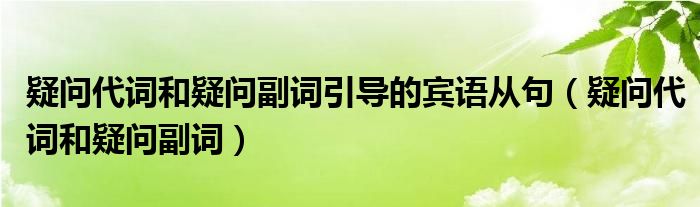 疑問代詞和疑問副詞引導(dǎo)的賓語從句（疑問代詞和疑問副詞）