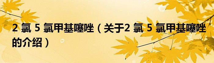 2 氯 5 氯甲基噻唑（關(guān)于2 氯 5 氯甲基噻唑的介紹）