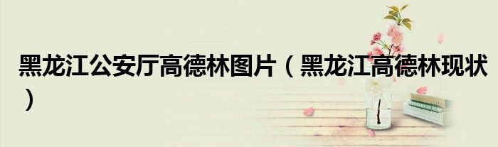 黑龍江公安廳高德林圖片（黑龍江高德林現(xiàn)狀）