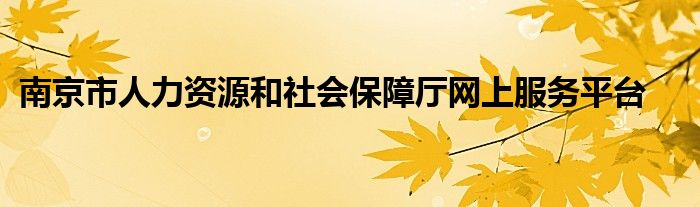 南京市人力資源和社會保障廳網(wǎng)上服務(wù)平臺