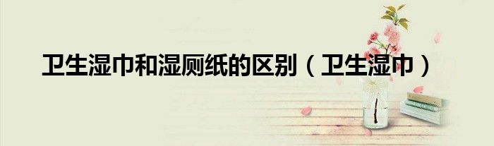 衛(wèi)生濕巾和濕廁紙的區(qū)別（衛(wèi)生濕巾）