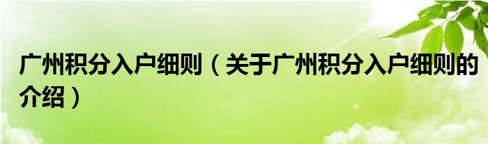 廣州積分入戶細(xì)則（關(guān)于廣州積分入戶細(xì)則的介紹）