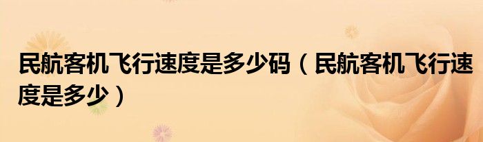 民航客機(jī)飛行速度是多少碼（民航客機(jī)飛行速度是多少）