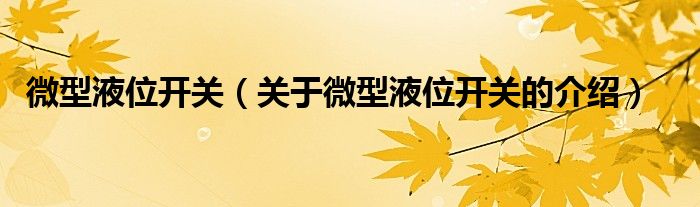 微型液位開關(guān)（關(guān)于微型液位開關(guān)的介紹）