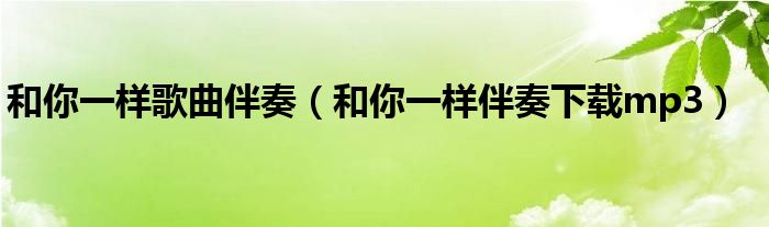 和你一樣歌曲伴奏（和你一樣伴奏下載mp3）
