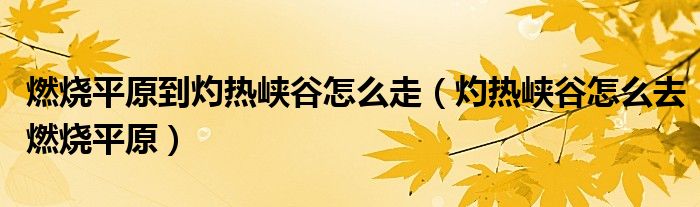 燃燒平原到灼熱峽谷怎么走（灼熱峽谷怎么去燃燒平原）