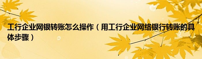 工行企業(yè)網(wǎng)銀轉(zhuǎn)賬怎么操作（用工行企業(yè)網(wǎng)絡(luò)銀行轉(zhuǎn)賬的具體步驟）