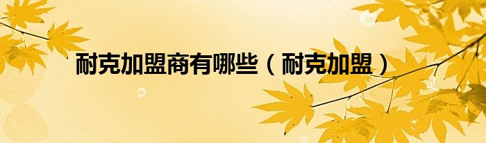 耐克加盟商有哪些（耐克加盟）