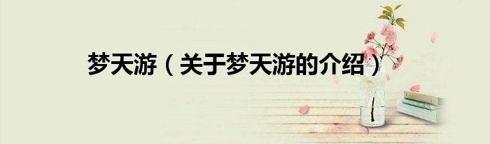 夢天游（關(guān)于夢天游的介紹）