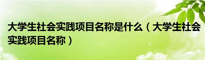 大學生社會實踐項目名稱是什么（大學生社會實踐項目名稱）