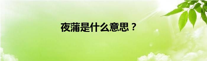 夜蒲是什么意思？