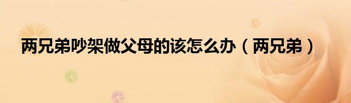 兩兄弟吵架做父母的該怎么辦（兩兄弟）