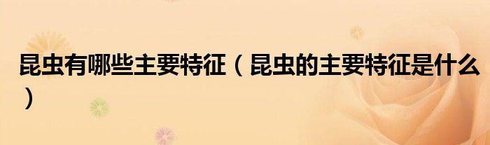 昆蟲有哪些主要特征（昆蟲的主要特征是什么）