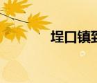 埕口鎮(zhèn)到無棣發(fā)車時(shí)間（埕）