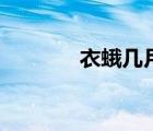 衣蛾幾月份才會消失（衣蛾）