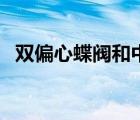 雙偏心蝶閥和中心蝶閥（雙偏心蝶閥型號）
