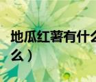 地瓜紅薯有什么區(qū)別（地瓜和紅薯的區(qū)別是什么）