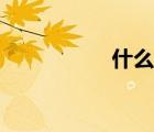什么是航班號（班號）