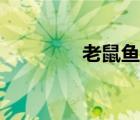 老鼠魚吃糞便嗎（老鼠魚）