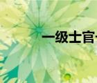 一級士官長 軍銜（一級士官長）