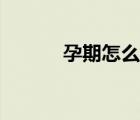 孕期怎么算日子（孕期怎么算）