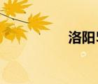 洛陽58同城（洛陽58）