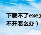 下載不了exe文件怎么辦（下載的exe文件打不開怎么辦）