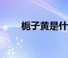 梔子黃是什么食品添加劑（梔子黃）