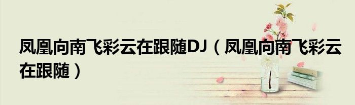 鳳凰向南飛彩云在跟隨DJ（鳳凰向南飛彩云在跟隨）