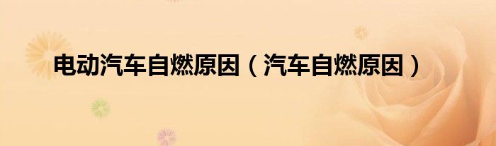 電動汽車自燃原因（汽車自燃原因）