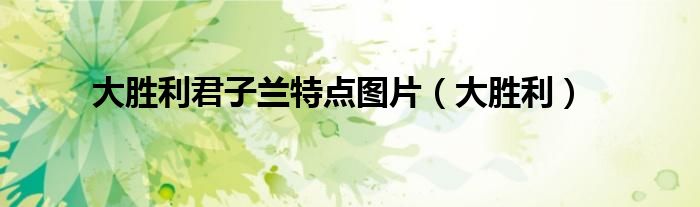 大勝利君子蘭特點(diǎn)圖片（大勝利）