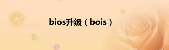 bios升級(jí)（bois）