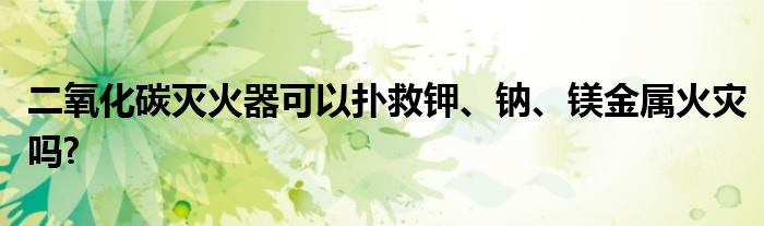 二氧化碳滅火器可以撲救鉀、鈉、鎂金屬火災(zāi)嗎?