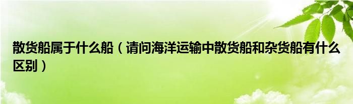 散貨船屬于什么船（請(qǐng)問(wèn)海洋運(yùn)輸中散貨船和雜貨船有什么區(qū)別）