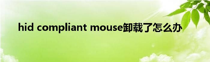 hid compliant mouse卸載了怎么辦