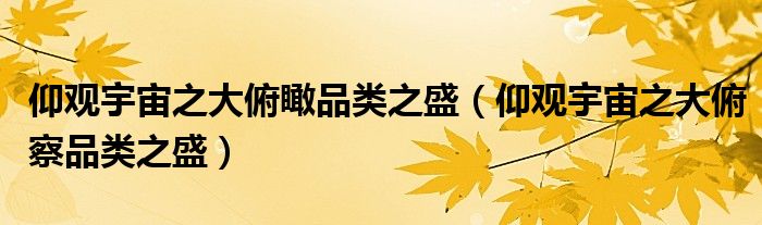仰觀宇宙之大俯瞰品類之盛（仰觀宇宙之大俯察品類之盛）