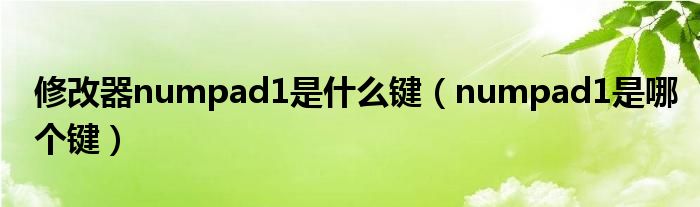 修改器numpad1是什么鍵（numpad1是哪個(gè)鍵）