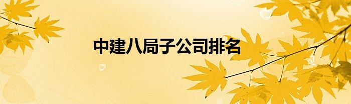 中建八局子公司排名