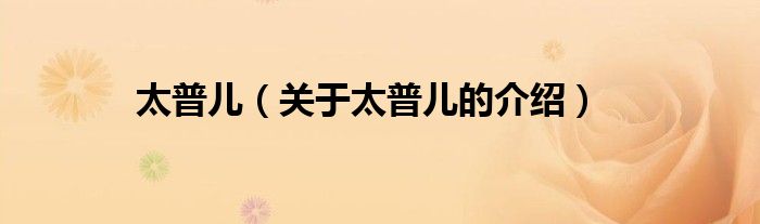 太普兒（關(guān)于太普兒的介紹）