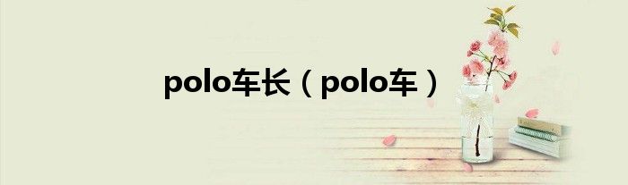 polo車(chē)長(zhǎng)（polo車(chē)）