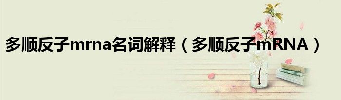 多順?lè)醋觤rna名詞解釋（多順?lè)醋觤RNA）