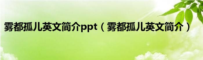 霧都孤兒英文簡介ppt（霧都孤兒英文簡介）