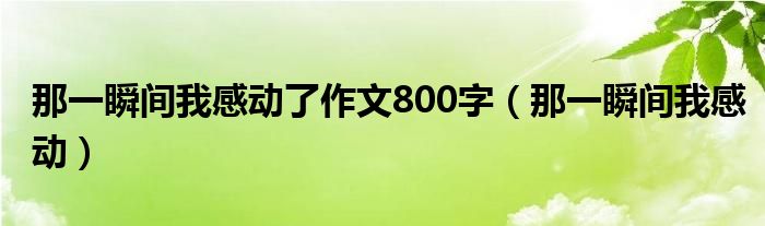 那一瞬間我感動了作文800字（那一瞬間我感動）