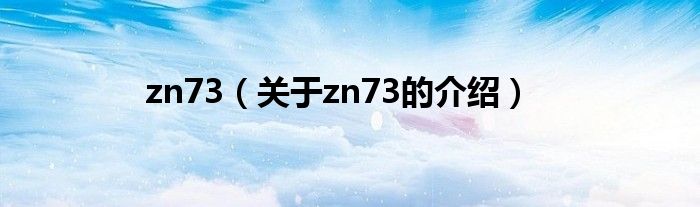 zn73（關(guān)于zn73的介紹）