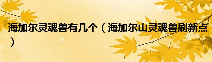 海加爾靈魂獸有幾個（海加爾山靈魂獸刷新點(diǎn)）