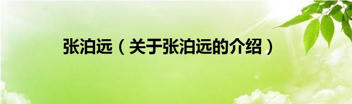張泊遠(yuǎn)（關(guān)于張泊遠(yuǎn)的介紹）